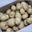 재학농장 이미지