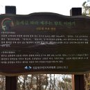 정개산원적산 둘레길 이미지