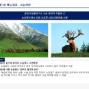 사슴약국 네이버블로그