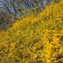 신갈근린공원 이미지