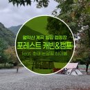 포레스트 월악 이미지