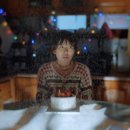 스타일펫츠 이미지