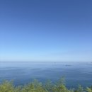 와인 비어 | 묵호 맛집: 묵호 오션뷰맛집 논골담길 술집 바람의 언덕 동해타파스 와인&amp;비어 내돈내산 후기