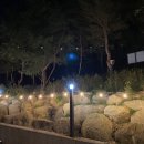 V528 이미지