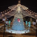 (주)시화대형카 | 서울근교 크리스마스 카페 추천, 김포 카페드첼시