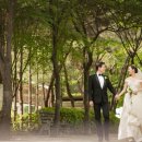 서초대로64길 73 이미지