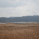정다운여행