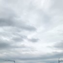 순천만국가정원(서문) 이미지