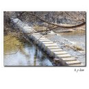 영주 소수서원 이미지