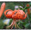 달뜨는언덕 이미지