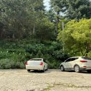 명덕잣나무집 이미지