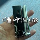 463 | 디올 어딕트 립스틱 463 디올 리본 후기