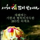 에이스종합관리 - 동래구 | 에이스종합관리