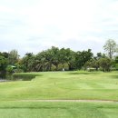 그린미트 이미지