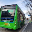 서구-01-75 이미지