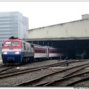 H1557 이미지