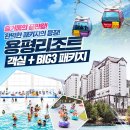 용평리조트 워터파크1인, 액티비티1인 양도합니다 이미지