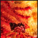 등대마트 이미지