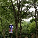 구곡2천 | [춘천 애견동반 여행] 구곡폭포