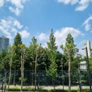 디자이너,마 뷰티살롱 이미지