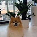 리타임뷰티 네이버블로그