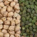 병아리 콩 이미지