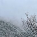 사이트 애견 동반 독차지(Dog ChaJi) 캠핑장 사이트 정보 마구간 같지만 프라이빗 한 공간 B2 이용후기