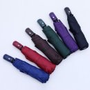 피티아이 이미지