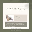 광이명이 이미지