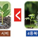 고운슈퍼 이미지