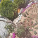 노을정원 | 강화도펜션을 찾는 사람에게 추천하는 노을 정원 힐링 체험기