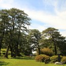 작금민박 이미지