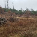 중리농장 이미지