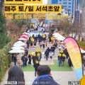 하이고래협동조합 이미지
