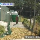 명품유황오리 이미지