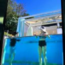 오아스시 | 서울놀거리_반얀트리 클럽 앤 스파 서울 오아스시_야외 수영장 즐기기_4인카바나후기