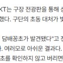 문단담배집