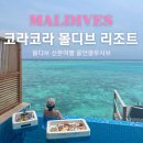 몰디브 신혼여행 올인클루시브 럭셔리 리조트 추천 코라코라 솔직후기