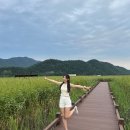덕충 아구찜 식당 | 낭만이란 배를 타고 떠나갈거야~🛳️ 여수 순천 2박 3일 여행