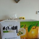 배한농장 이미지