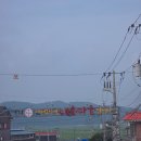 대룡 - 부산진구 백양관문로 3 | 강화도 가볼만한 곳, 즐거웠던 교동도 대룡시장 후기!