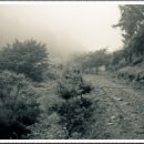 용문산자연휴양림 이미지