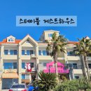 제주도 스테이블 | 혼자가도 즐거운 제주도 게스트하우스 파티 스테이블 솔직 후기