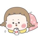 깐돌이네 애견미용호텔 네이버블로그