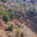 저지오름주차장 이미지