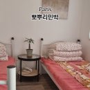 합천깐주골민박 | 뽀뿌리민박 프랑스 한인민박 내돈내산 가격 할인 팁