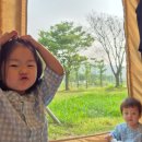 트리즈디자인 | 🏕️ 넓고 쾌적함 끝판왕! 리콜렉터 트리즈 16.2 텐트 필드 솔직 리뷰! 💖