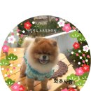 이름소프트 이미지