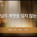 [QT]2026-09-12(토) 시 119:169~176 이미지