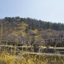 부소산가든